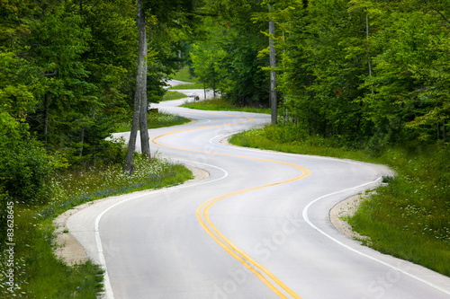 Winding Road in Forest in Wisconsin, USA