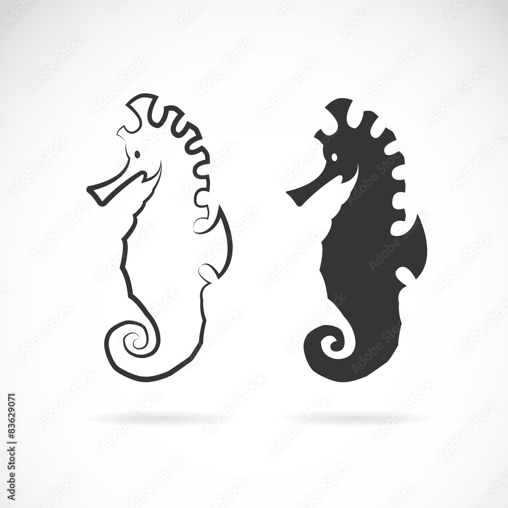 Vector image of an sea horse on white background Vector image of an sea horse on white background