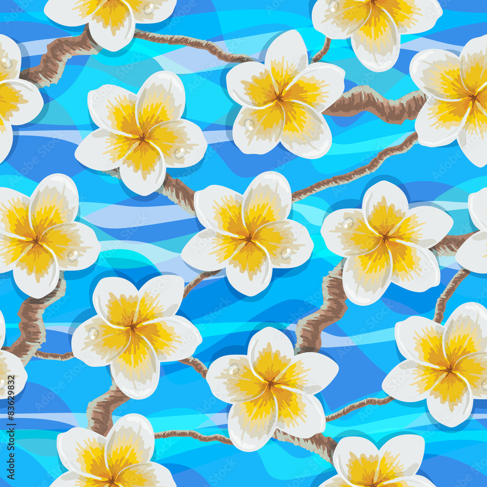 Obraz premium Tropical flowers plumeria