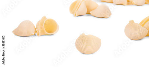 Close up of Italian pasta shells.