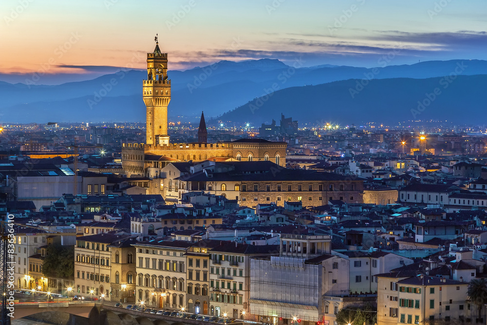 view of Palazzo Vecchio, Florence, Italy