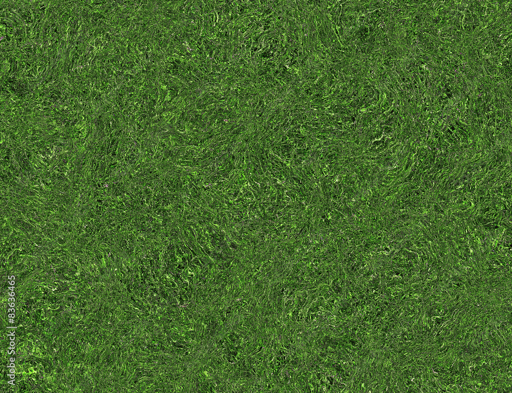 Obraz premium bright curled twisted green grass texture