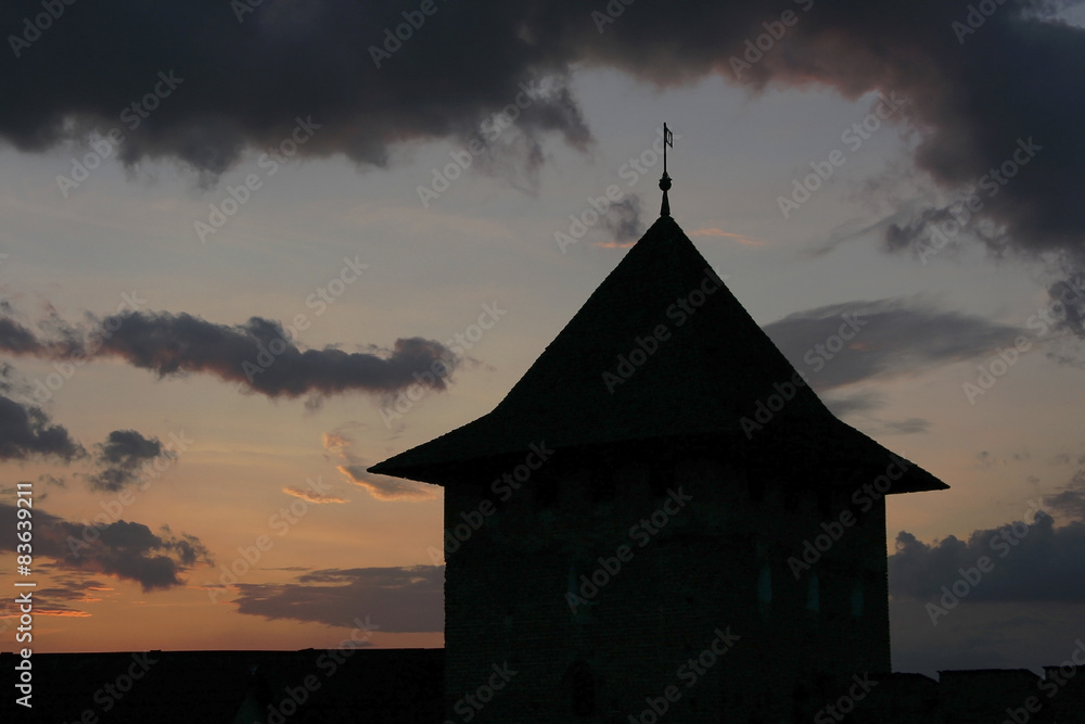 Fototapeta premium Castle