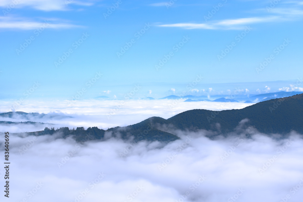 Fototapeta premium Aerial view on Carpathian mountains