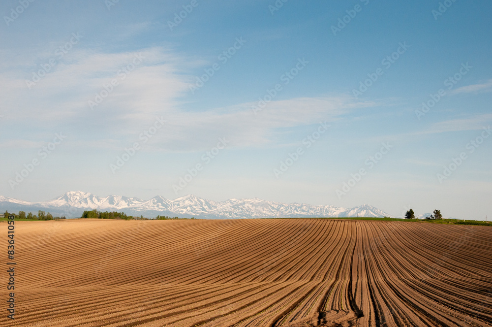 残雪の山並みと耕した畑