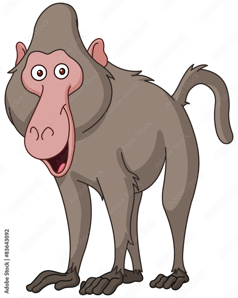 Obraz premium Smiling baboon