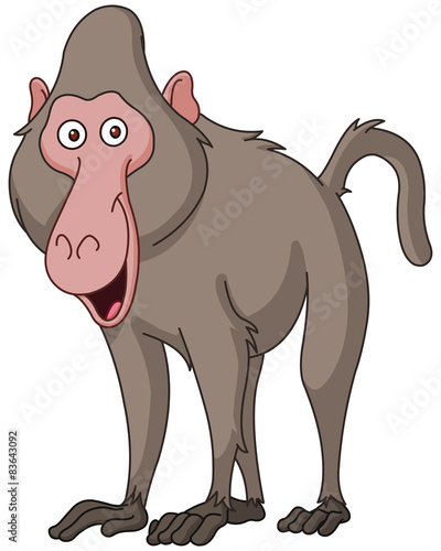 Smiling baboon