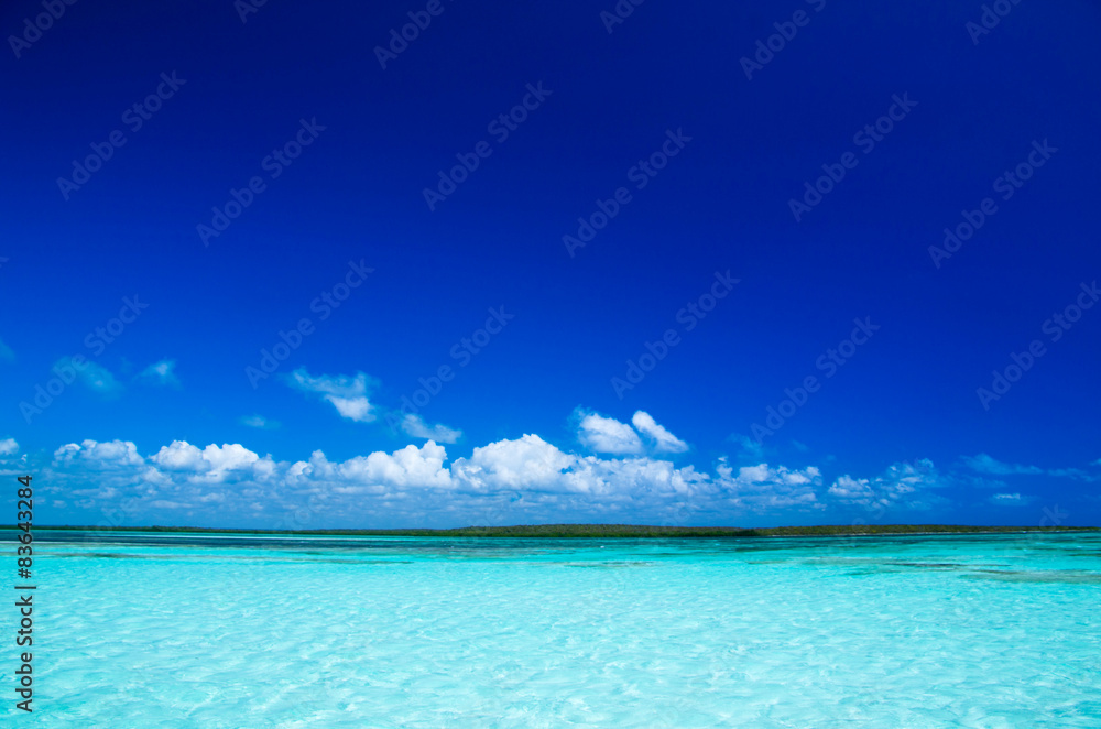 sea sea