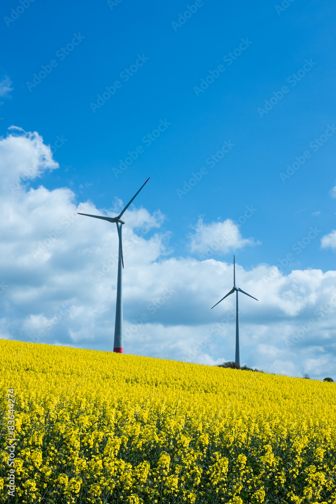Energiegewinnung durch erneuerbare Energien Energiegewinnung durch erneuerbare Energien