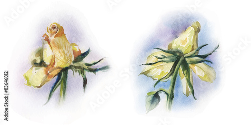 vector withered roses
