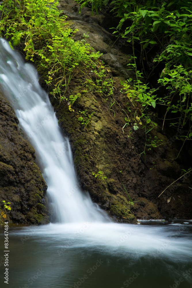 Fototapeta premium Gran Canaria, Azuaje