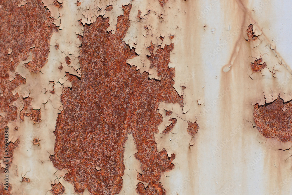 Fototapeta premium background texture of rusty metal grunge