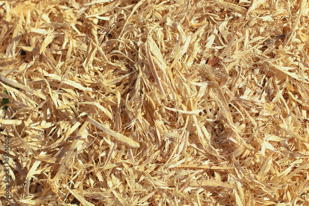 background texture of wood shavings