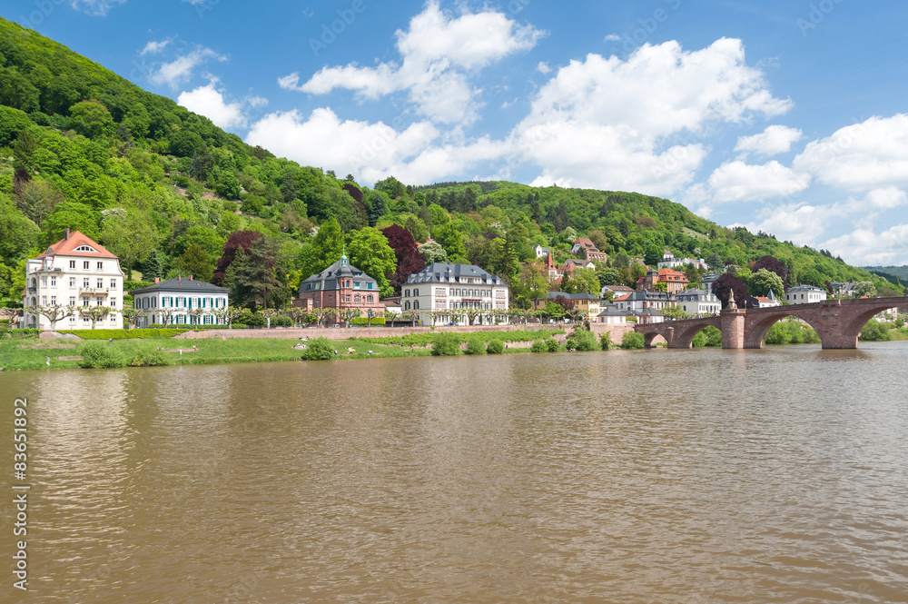 Heidelberg, Neckar
