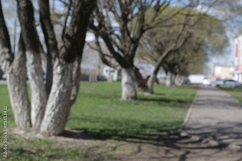 Park in spring walking