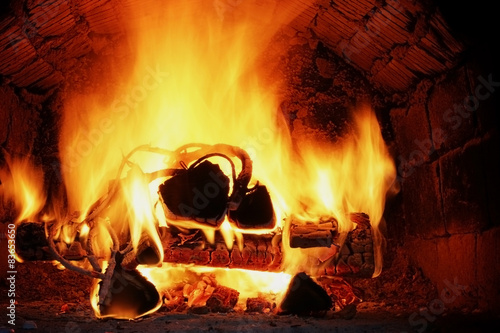 firewood burning in the oven