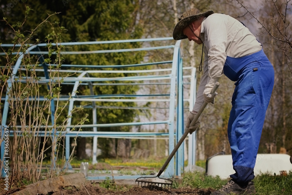 gardener to plant the seedlings in the spring gardener to plant the seedlings in the spring