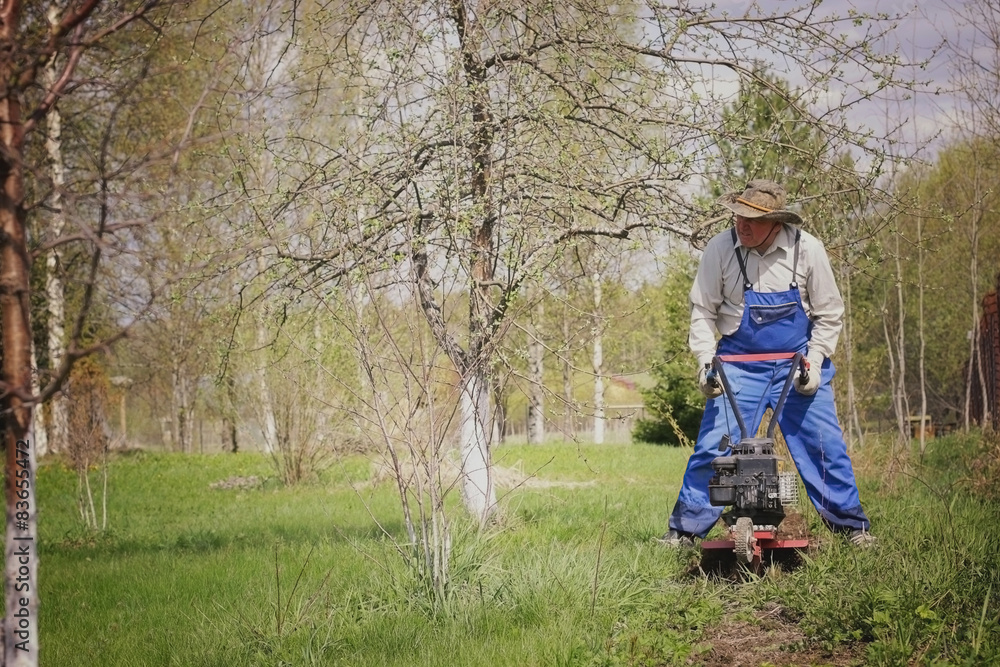 gardener to plant the seedlings in the spring 