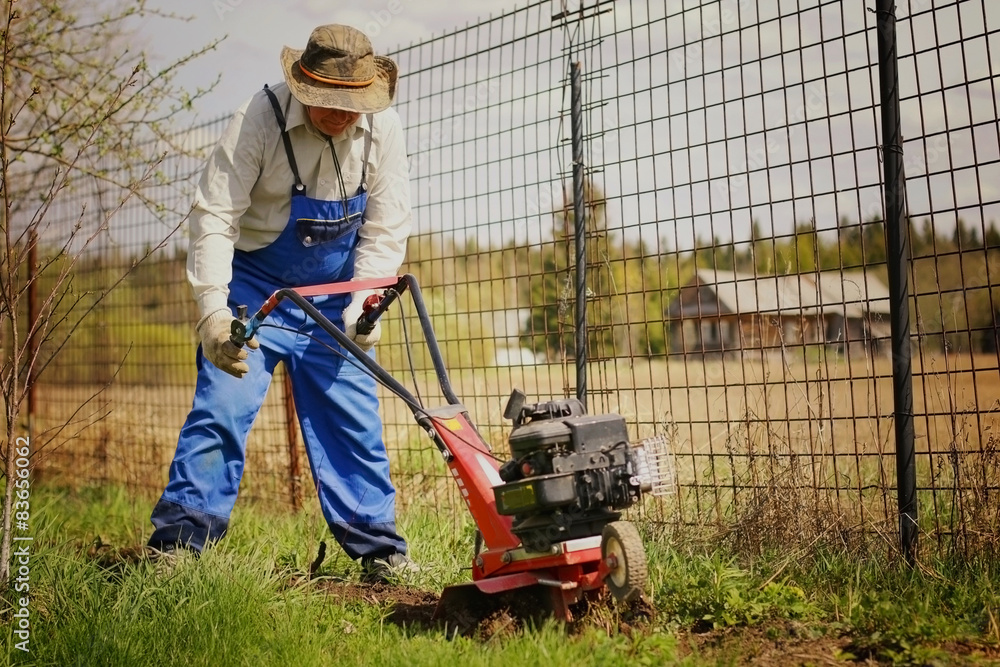 gardener to plant the seedlings in the spring gardener to plant the seedlings in the spring