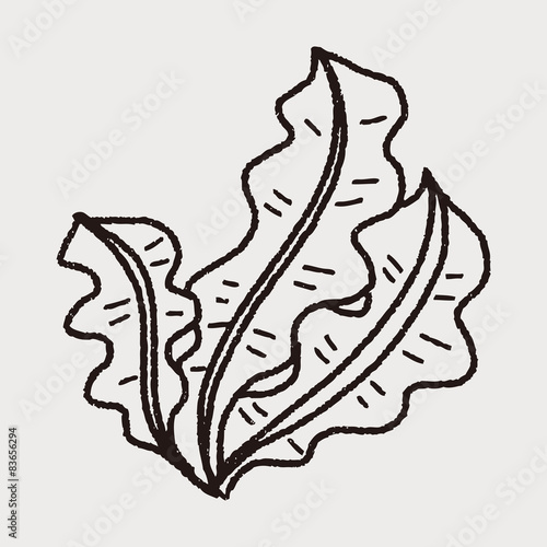 Kelp doodle