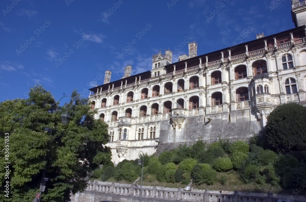 the castle of the Medici