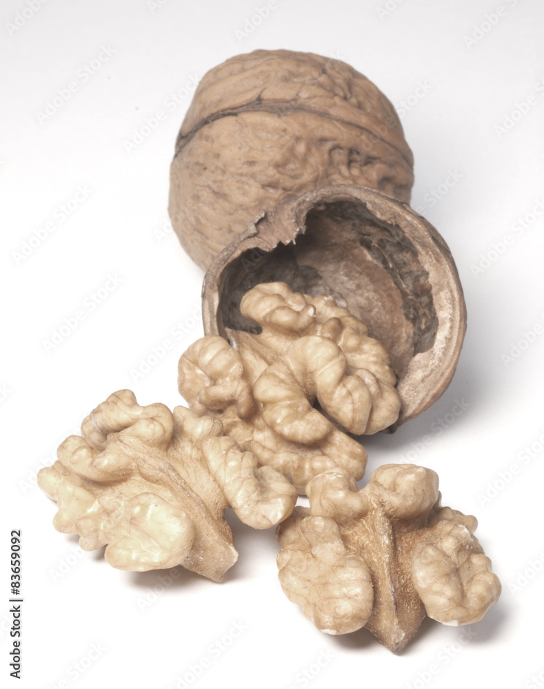 Walnuts Isolated on White Background Walnuts Isolated on White Background