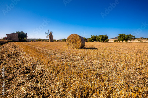 Mallorca island photo