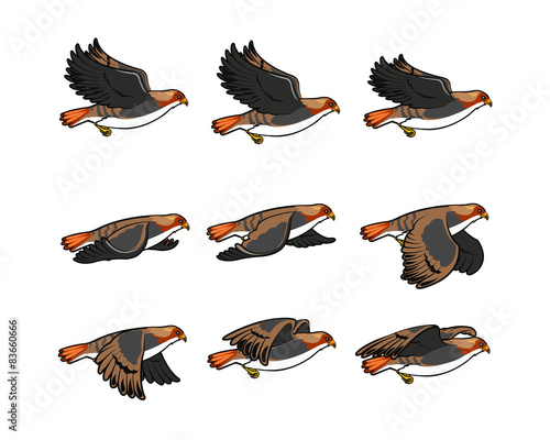 Hawk Flying Sprite
