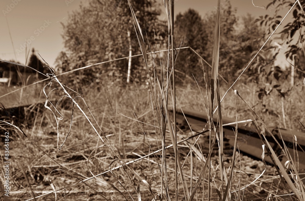 Obraz premium alter Bahnhof