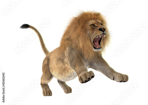 Fototapeta Naklejka Na Ścianę i Meble -  Male Lion