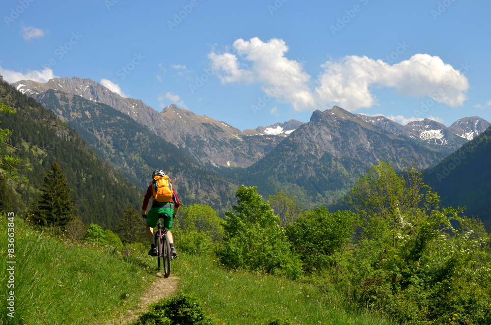 Radfahrer mit MTB auf Weg im Gebirge