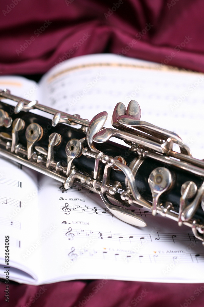 Obraz premium Oboe auf Noten