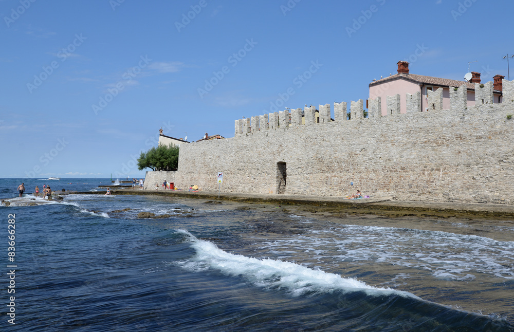 Küste bei Novigrad, Istrien, Kroatien Küste bei Novigrad, Istrien, Kroatien