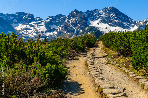 Tatry - Dolina Gąsienicowa