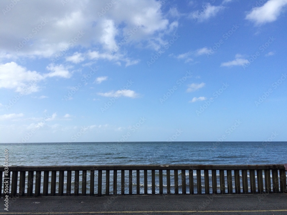 Fototapeta premium the fence