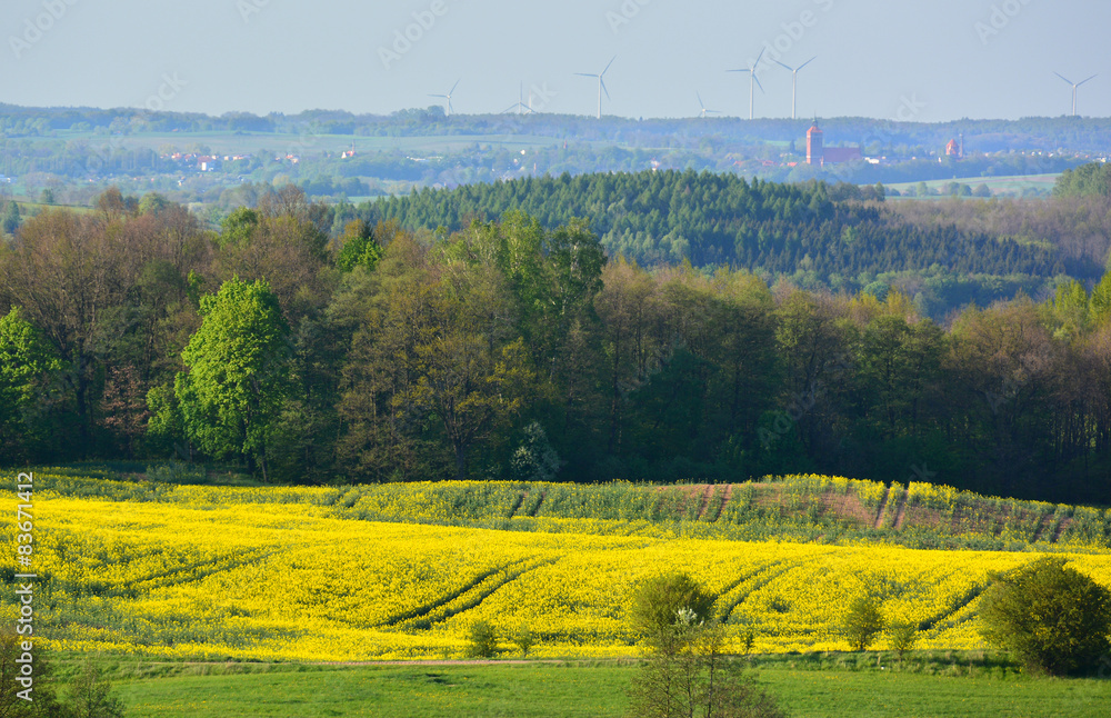 Colorful spring landscape