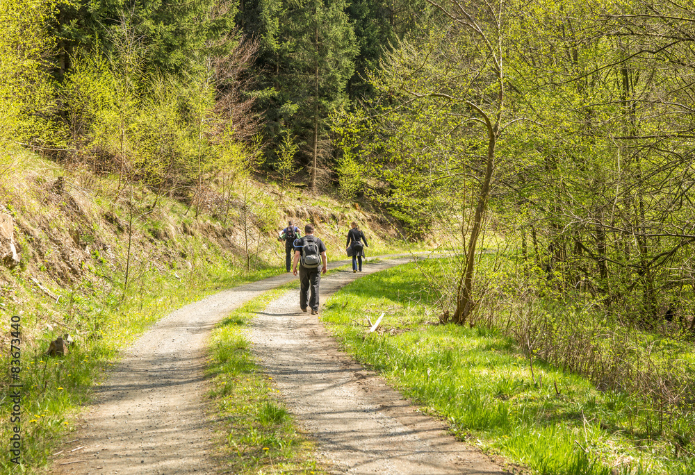 Obraz premium Wanderer