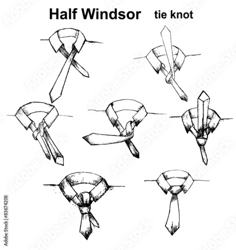 Vector tie and knot instruction