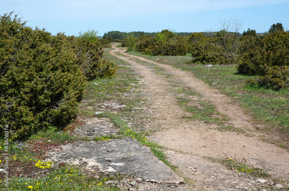 Obraz premium Winding dirt road