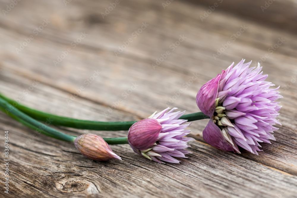 Blooming Chives On Wood