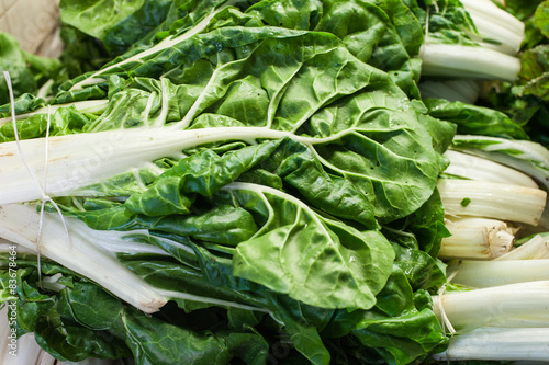 Swiss chard bunch raw and fresh