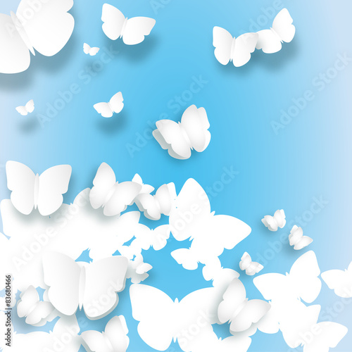 papillons