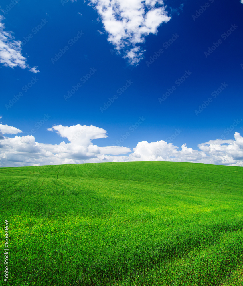 field field