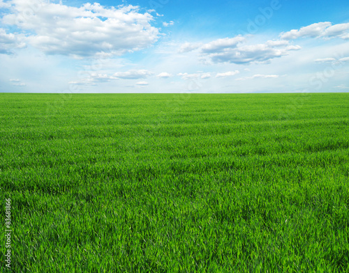green field © photolink