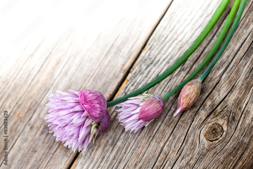 Naklejka premium Blooming Chives On Wood
