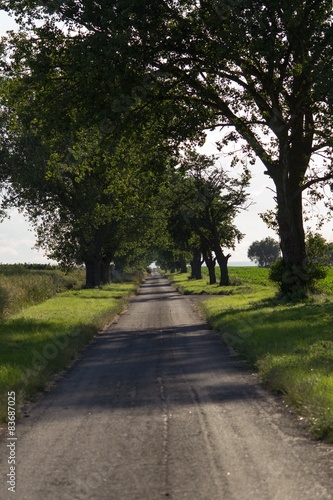 Field road © Tom Zander