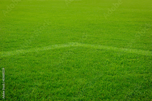 White corner line goal on grass soccer field