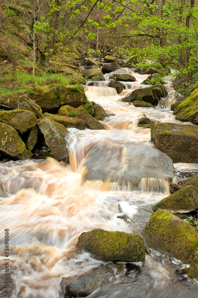 Fototapeta premium Padley Gorge in the Peak District