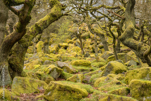 Padley Gorge in the Peak District