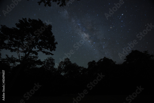 Night sky with the Milky Way over the forest and trees 